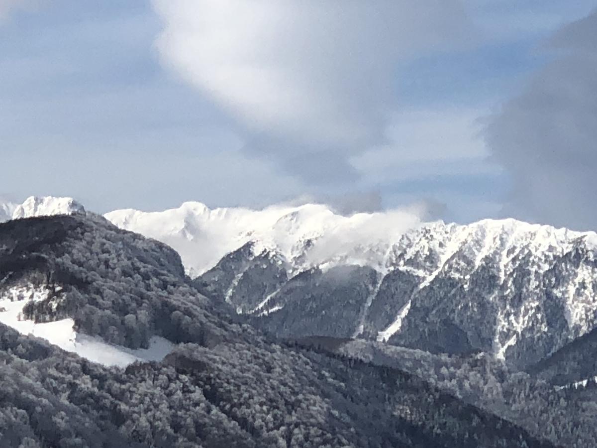 Bran Monte Crai Chalet Eksteriør billede